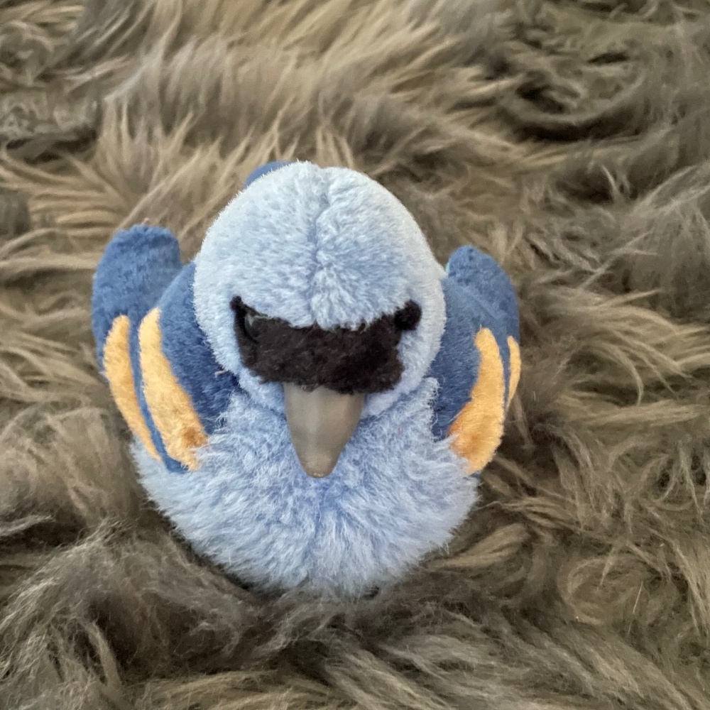 Bluebird toy